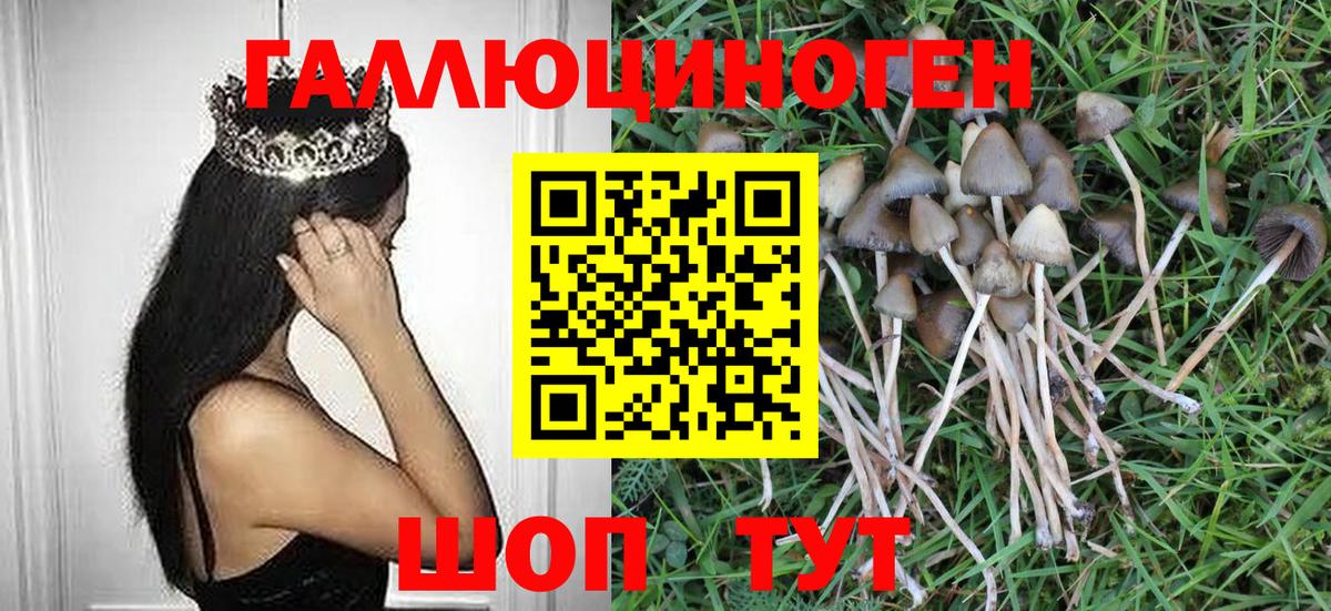 Псилоцибиновые грибы Psilocybe  Псилоцибиновые грибы ЛСД  даркнет сайт  Новотроицк  Вход с VPN 