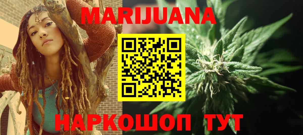 Канабис план Новотроицк
